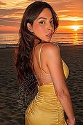 Ponte Chiasso Transex Nayara 333 8231420 foto 7