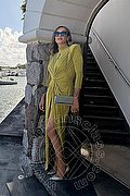 Treviso Transex Valeria 338 8718849 foto 4