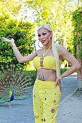 Ibiza Transex Nina La Divina 0034 617911341 foto 18