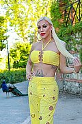 Ibiza Transex Nina La Divina 0034 617911341 foto 17