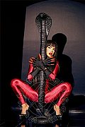 Capriate San Gervasio Transex Leticia Sexy 392 0816569 foto 7