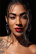 Brindisi Transex Mariah Massage 389 8950846 foto 20
