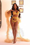 Milano Transex Al�cia Lins 324 7827663 foto 6