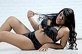 Lodi Transex Dryka 371 1943155 foto 15