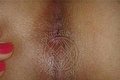 Grosseto Transex Linda 351 1748930 foto hot 6