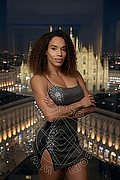 Milano Transex Violet 331 3881628 foto 4