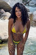 Sestri Levante Transex Beatrix 353 3246338 foto 4