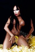 Genova Transex Naomi Angel 349 1282938 foto 113