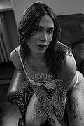 Milano Transex Nyx 329 5371331 foto 32