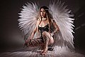 Torino Transex Bruna Chloer 351 4208269 foto 13