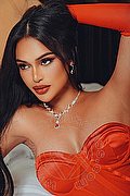 Milano Transex Sammi Asiatica 392 6226622 foto 3