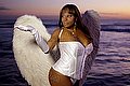Termoli Transex Kimon Cat 345 6112291 foto 41