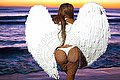 Termoli Transex Kimon Cat 345 6112291 foto 42