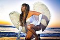Termoli Transex Kimon Cat 345 6112291 foto 43