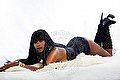 Termoli Transex Kimon Cat 345 6112291 foto 5