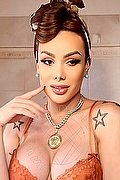 Milano Transex Kalena Rios Pornostar 377 3872350 foto 21