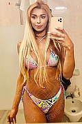 Roma Transex Tiffany Oliveira 371 6140791 foto selfie 175