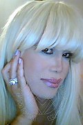 Milano Transex Nicole Vip Venturiny 353 3538868 foto selfie 446