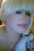 Milano Transex Nicole Vip Venturiny 353 3538868 foto selfie 438