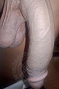 Bologna Transex Crystal 353 3140303 foto selfie 21