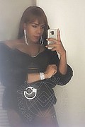 Bologna Transex Crystal 353 3140303 foto selfie 10