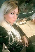 Villorba Transex Pamy La Diva Stellare 324 7819703 foto selfie 397