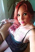 Vicenza Transex Giselle Pires 327 3386244 foto selfie 57