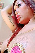 Vicenza Transex Giselle Pires 327 3386244 foto selfie 51