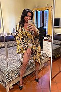 Alba Adriatica Transex Emme 333 1648972 foto selfie 156