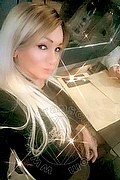 Villorba Transex Pamy La Diva Stellare 324 7819703 foto selfie 333