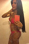 Torino Transex Livia Andrade 350 9273666 foto selfie 22