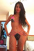 Torino Transex Livia Andrade 350 9273666 foto selfie 10