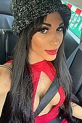 Torino Transex Livia Andrade 350 9273666 foto selfie 3