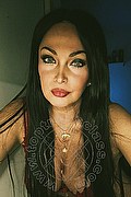 Albissola Marina Transex Dayane Callegare Pornostar 320 3187804 foto selfie 23