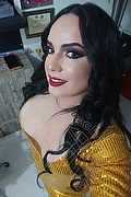 Verona Transex Cristina 380 4926793 foto selfie 5