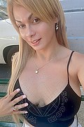 Novara Transex Brandy 388 3860479 foto selfie 10