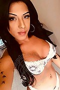 Bari Transex Bella Marques 344 5620488 foto selfie 18