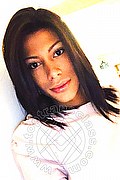 Perugia Transex Miriany Ribeiro Pornostar 331 1180448 foto selfie 67