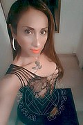 Viareggio Transex Leyla 338 3398084 foto selfie 40