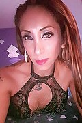 Viareggio Transex Leyla 338 3398084 foto selfie 36