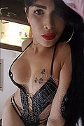 Roma Transex Carolina New 349 4387062 foto selfie 110