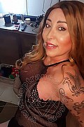 Gallarate Transex Alessandra Sexy 329 1769850 foto selfie 4