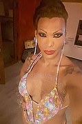 Milano Transex Bruna Canavashi 389 4947922 foto selfie 1