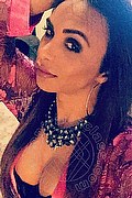 Bergamo Transex Haycka Pornostar 393 1191544 foto selfie 23