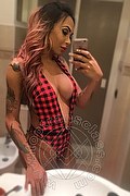 Bergamo Transex Haycka Pornostar 393 1191544 foto selfie 11