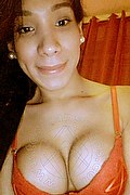 Desio Transex Pamela Fox 344 0583639 foto selfie 36