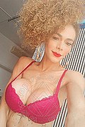 Viareggio Transex Vivianne 388 8005253 foto selfie 4