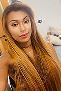 Roma Transex Tiffany Oliveira 371 6140791 foto selfie 51