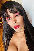 Roma Transex Tiffany Oliveira 371 6140791 foto selfie 102