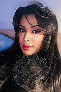 Roma Transex Tiffany Oliveira 371 6140791 foto selfie 92